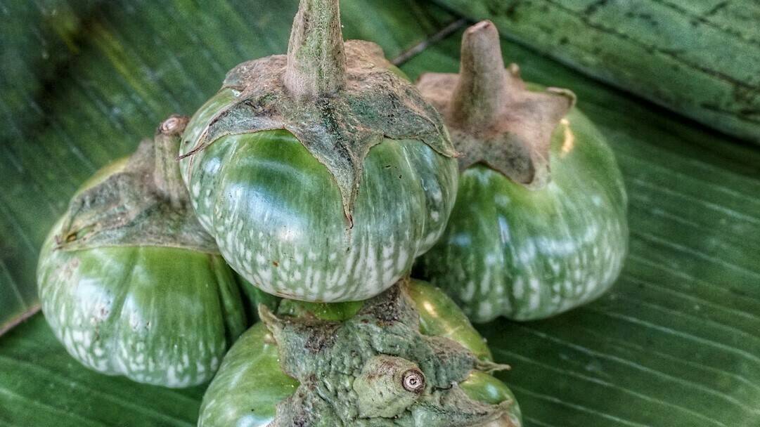 Berenjena Thai